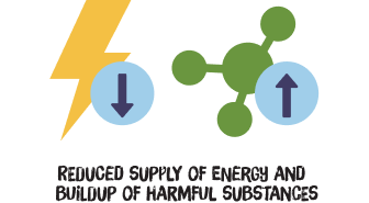 animation small graph